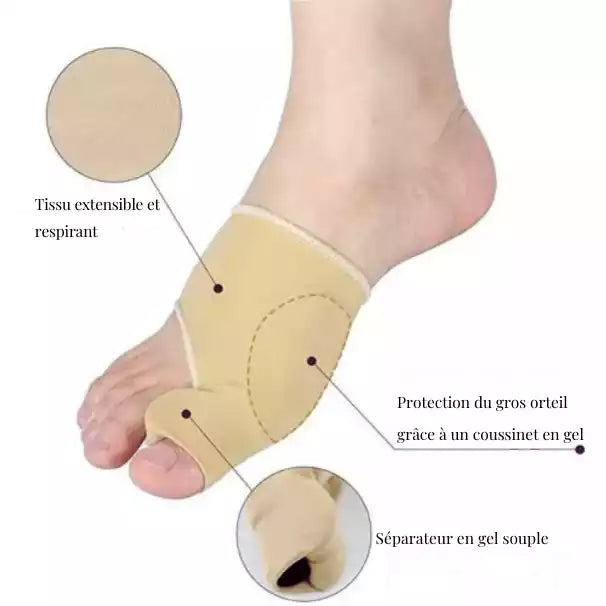 Présentation de la composition de l'othèse